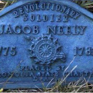 Meet your Posher, Ginger